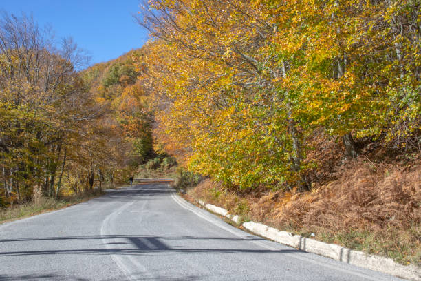 istock The road between the trees with yellow autumn trees. Greece 1064200468