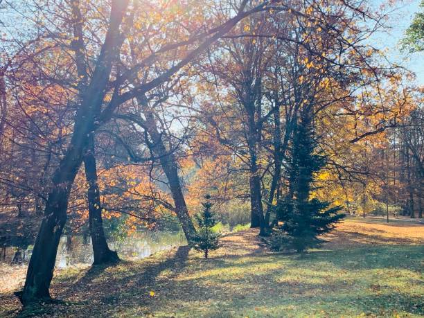istock Public park in fall time in Europe 1064202638