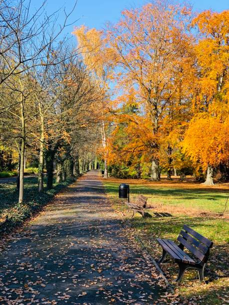 istock Public park in fall time in Europe 1064204608