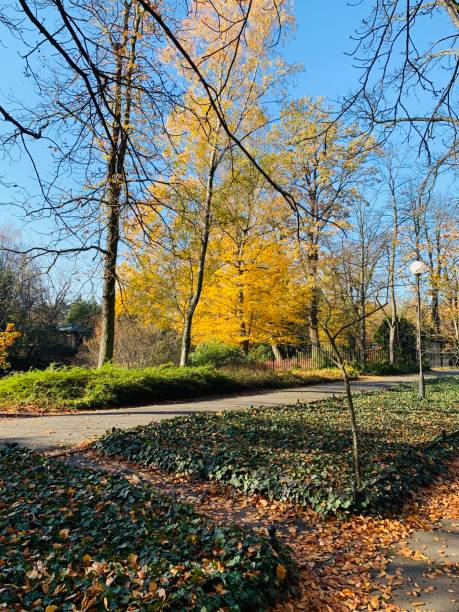 istock Public park in fall time in Europe 1064204616