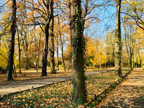 istock Public park in fall time in Europe 1064204700