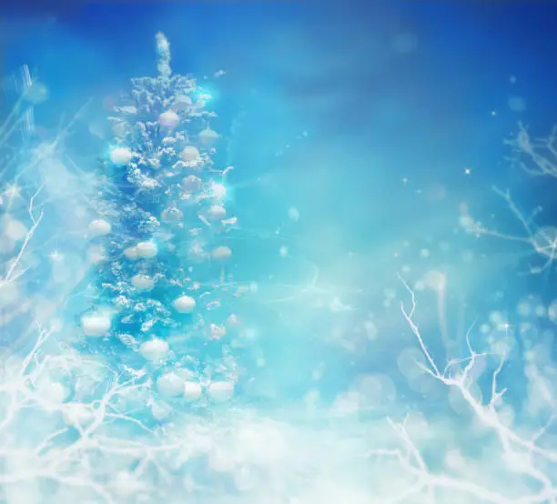 Winter frozen background. Winter Christmas concept with tree branches, snow and bokeh lights. Christmas Tree in Snow.