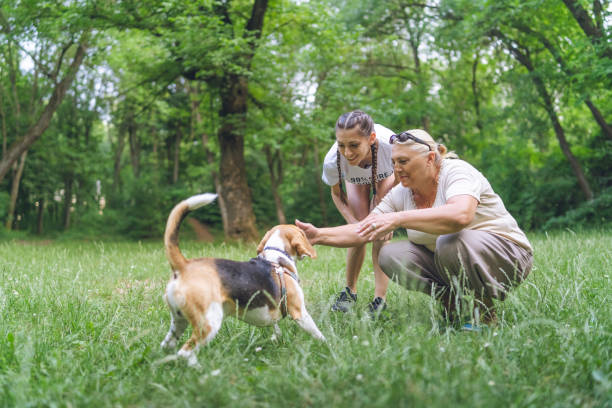 istock Two women playing with dog in a park 1064206052