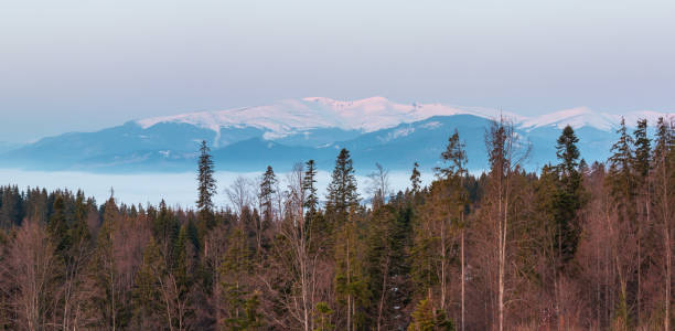 istock Early morning spring Carpathian mountains 1064206082