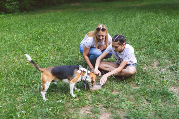 istock Two women playing with dog in a park 1064207488