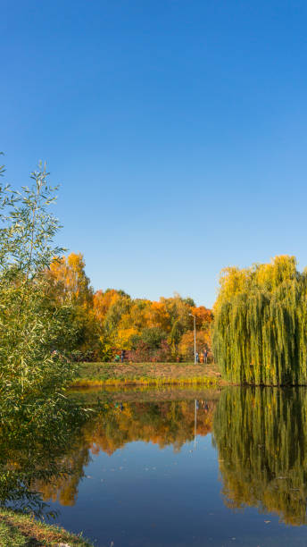 istock Beautiful fall colors reflect off a pond. Autumn park 1064208248