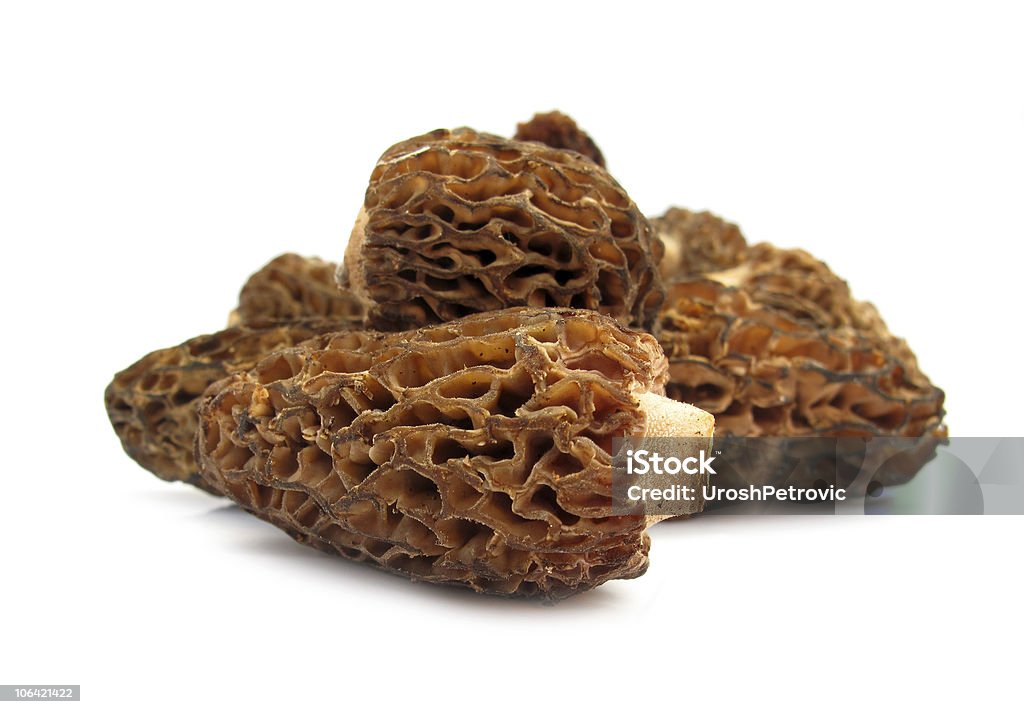 Type of mushroom called Morel Morchella on white surface Here are morel mushrooms.  Morel Mushroom Stock Photo