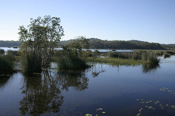 istock Tranquil Landscape with Water Reserve at Sunrise 106421433