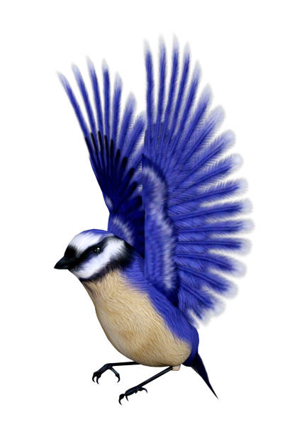 istock 3D rendering of a Florida scrub jay bird on white 1064215546