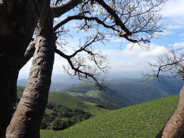 istock Coorg: Scotland of India 1064215746
