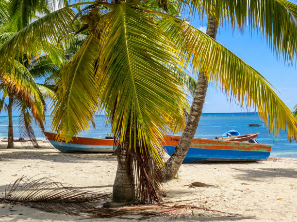 istock Beautifull Beach with boats,  tropical palms and white sand 1064221596