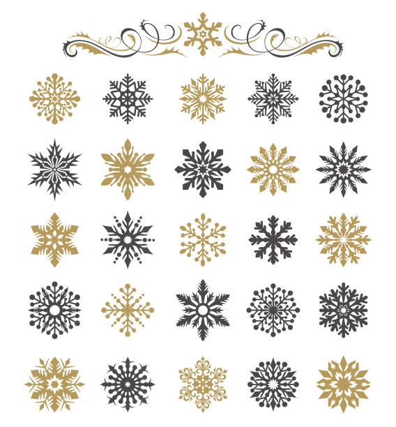 Snowflakes Set Vector illustration of the snowflakes set snowflake shape silhouettes stock illustrations