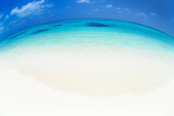 istock Fish eye view of pristine Maldives beach 1064222944