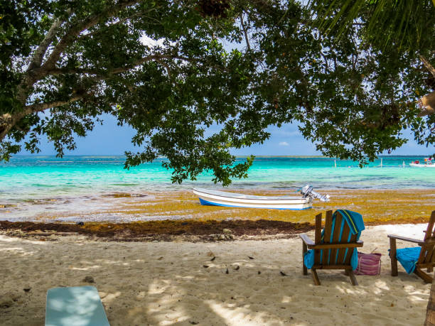 istock Beautifull Beach with deckchair and white sand 1064224084