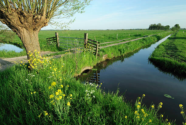 сельский пейзаж с канава в нидерландах - polder стоковые фото и изображения