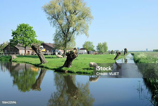 Farmland In Olanda Durante La Primavera - Fotografie stock e altre immagini di Acqua - Acqua, Acqua stagnante, Agricoltura