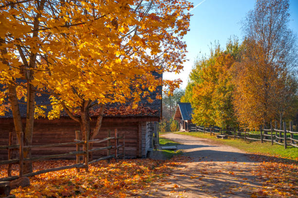 istock Russian old village in autumn. 1064226058