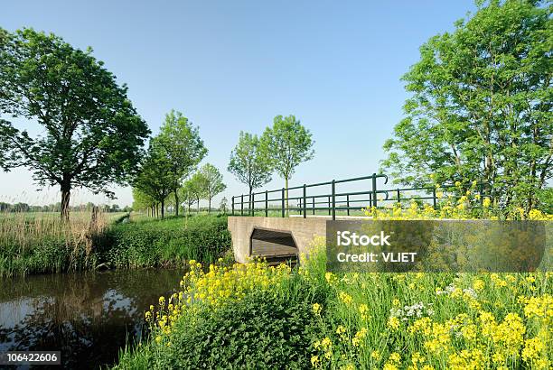 オランダの田園風景 - オランダのストックフォトや画像を多数ご用意 - オランダ, カラー画像, ヨーロッパ