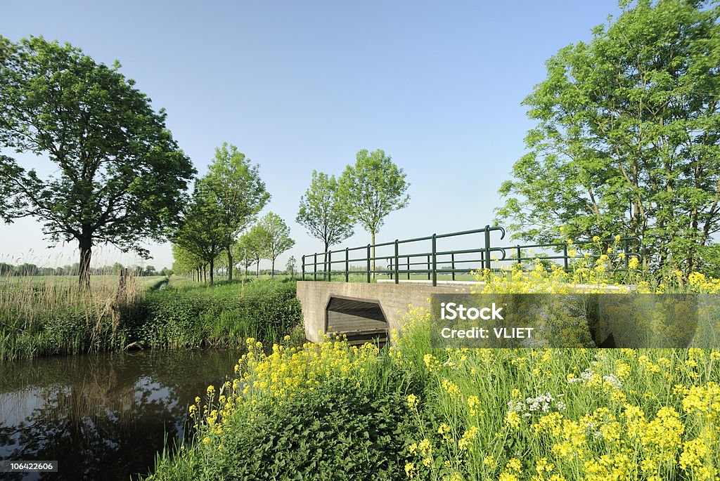 Wiejski Krajobraz w Niderlandach - Zbiór zdjęć royalty-free (Bez ludzi)