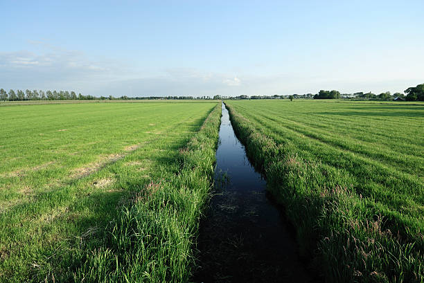 istock Farmland with ditch during summer in the Netherlands 106422679