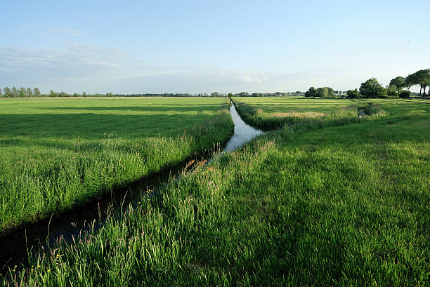 istock Farmland with ditch during summer in the Netherlands 106422681