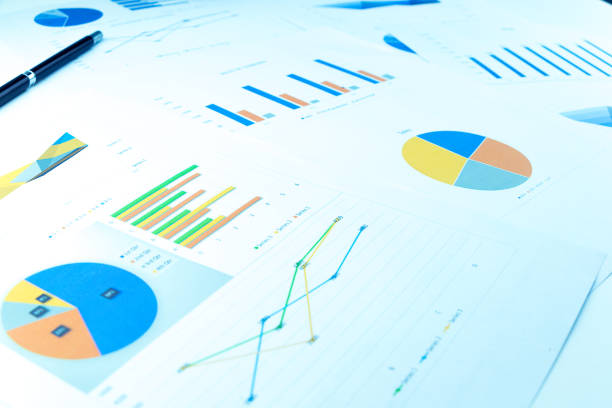 Many charts and graphs reflect the company's concept of data collection and statistical performance in the past year.