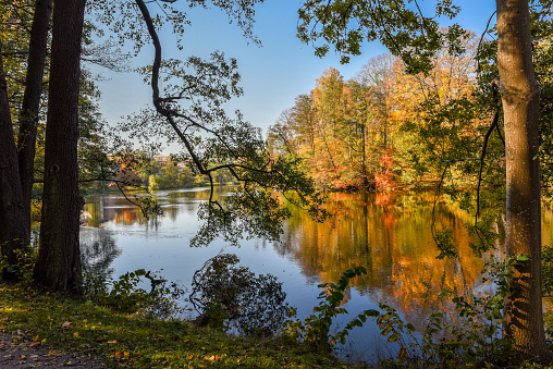 Sunny day in October 2018 in city park Abackarna along Motala river in Norrkoping, Sweden.