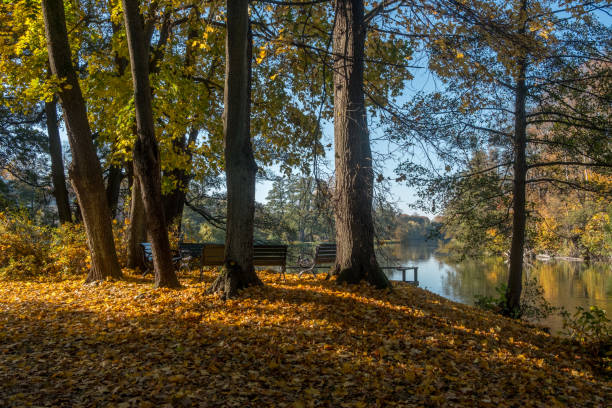 istock Autumn in Sweden 1064229032