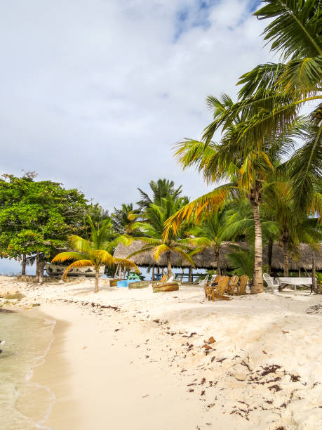 istock Beautifull Beach with tropical palms and white sand 1064229558