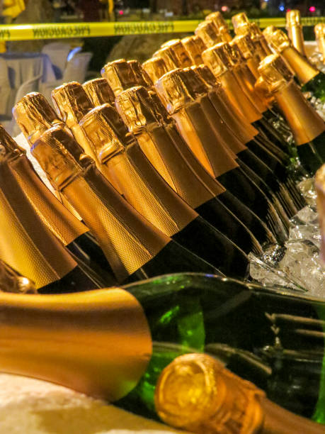 istock champagne bottles ready for a beach party 1064233188