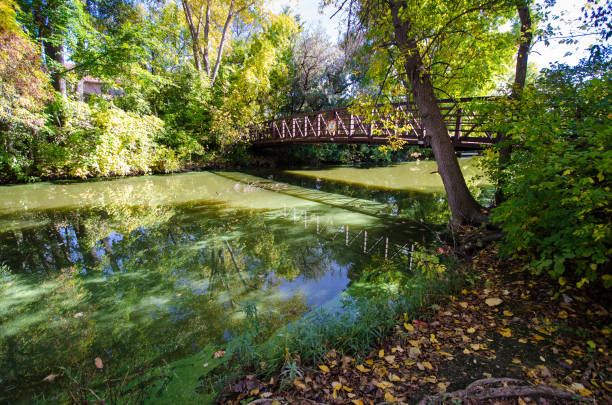 Bridge overlooking a small creek at the Maple Grove Arboretum on a sunny autumn day. Bridge overlooking a small creek at the Maple Grove Arboretum on a sunny autumn day. arboretum stock pictures, royalty-free photos & images