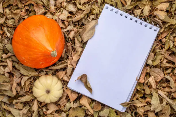 blank spiral sketchbook against dry fall leaves with ornamental gourd