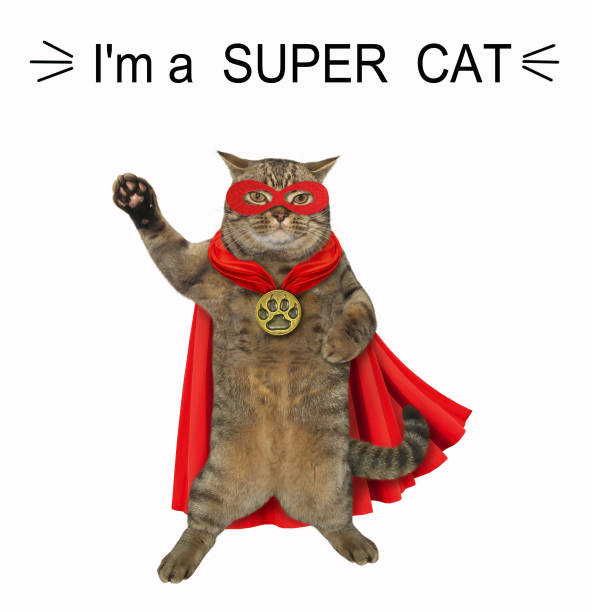 cat is a super hero 2 - gold jewelry necklace locket imagens e fotografias de stock