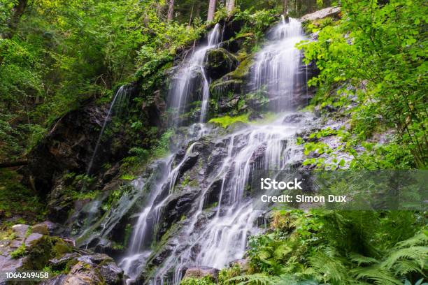 Germany Cold Shower Of Zweribach Waterfall Near Freiburg In Black Forest Nature Reserve Stock Photo - Download Image Now