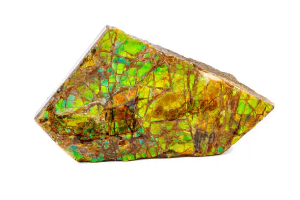 Photo of Macro of the mineral stone ammolite on white background