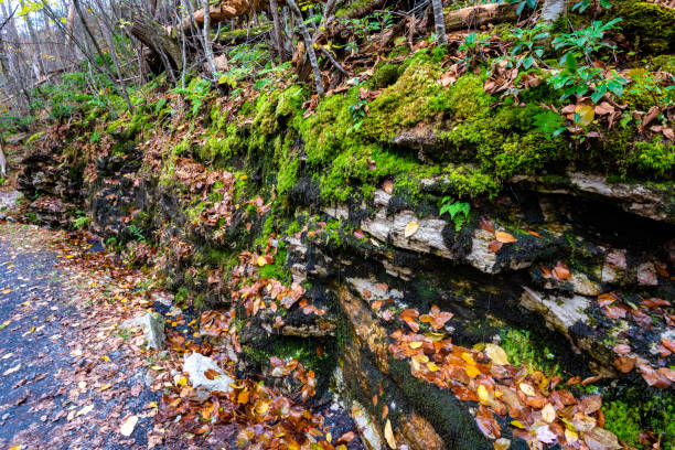 istock Autumn in Lake Minnewaska State Park 1064255024