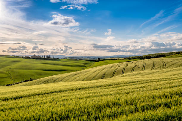 istock Sunny landscape from Val d'Orcia, Tuscany, Italy 1064255036