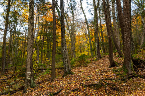 istock Autumn in Lake Minnewaska State Park 1064255510