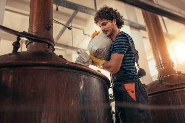 Craft Brewery Man brewing beer. microbrewery photos stock pictures, royalty-free photos & images