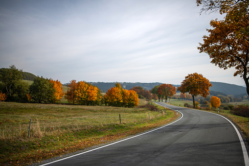 Thuringia, Germany: A winding road through the autumn landscape with colored trees.