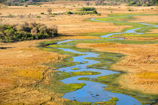 istock Aerial view of Okavango Delta, Botswana, Africa 1064260962