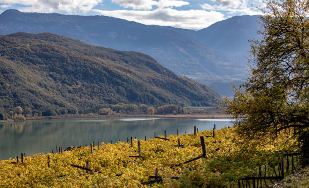 lago di caldaro, tirol del sur, italia - lake caldaro fotografías e imágenes de stock