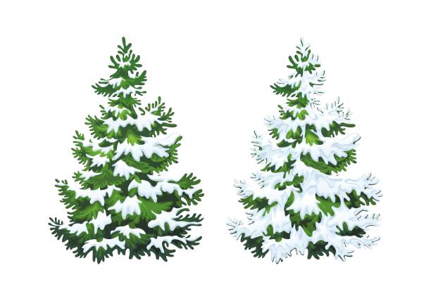 istock Realistic illustration of fluffy fir tree in snow 1.1 1064266080