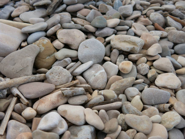 istock Stone background, close-up photo. Marine stone backdrop 1064266232
