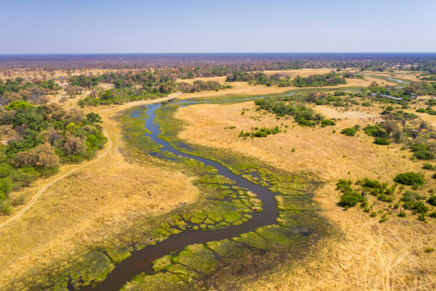 istock Aerial view of Okavango Delta, Botswana, Africa 1064269498