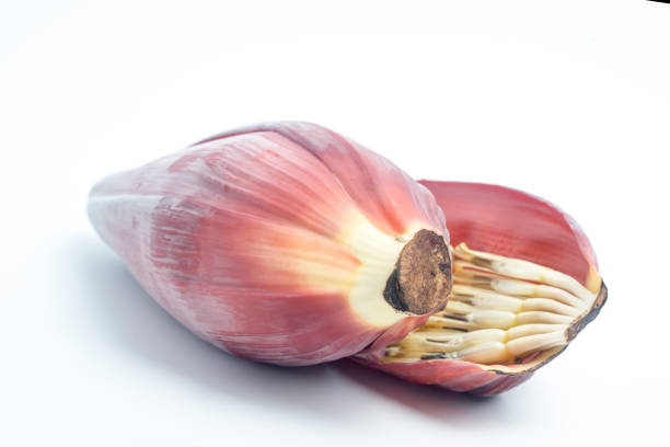 Banana blossom isolated on a white background.