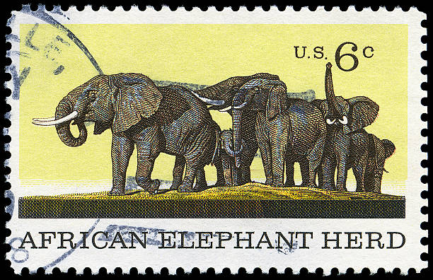 istock African Elephant Herd Stamp of 1970 106427603