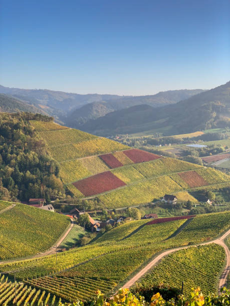 istock Durbach, Germany aerial drone view in autumn 1064279102