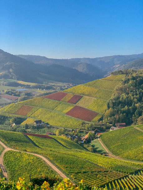 istock Durbach, Germany aerial drone view in autumn 1064279170