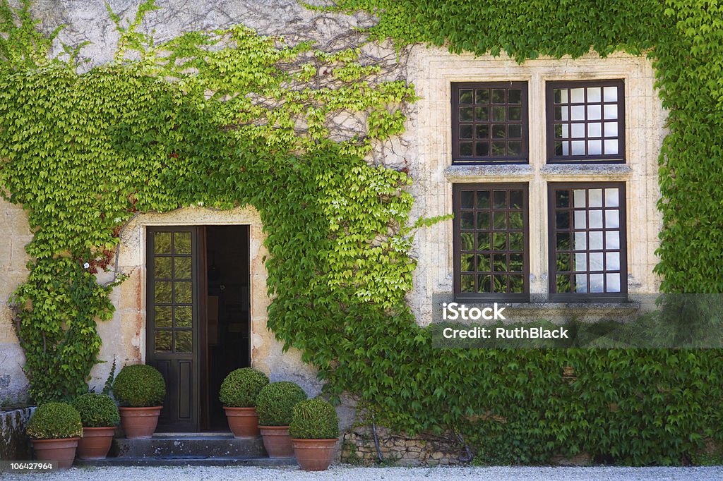 Ivy clad wall Ivy clad house photographed in the Dordogne region of France Aquitaine Stock Photo